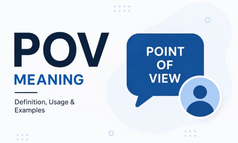 POV Meaning in text