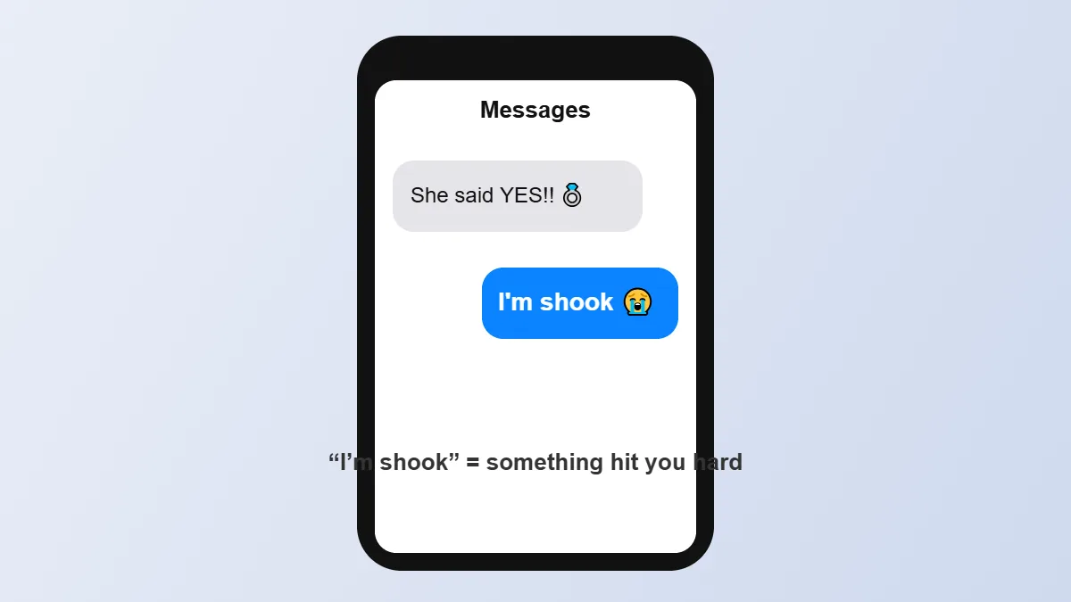 I'm shook meaning in text