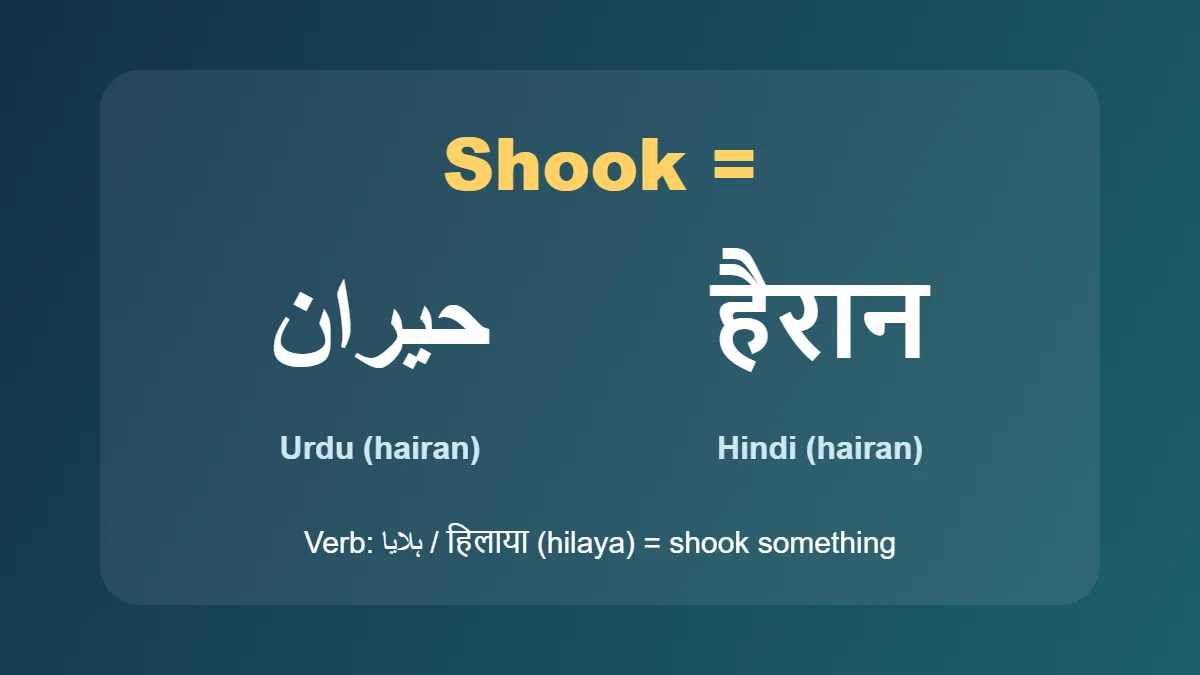 shook meaning in Urdu and Hindi