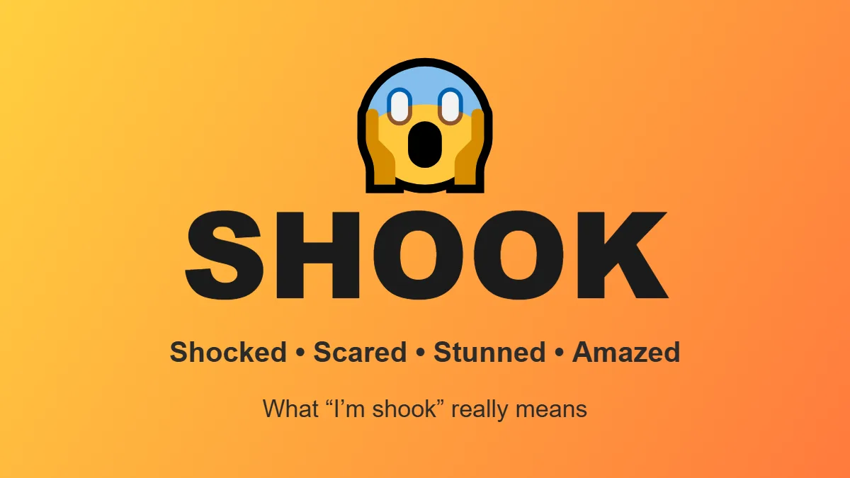 shook meaning slang