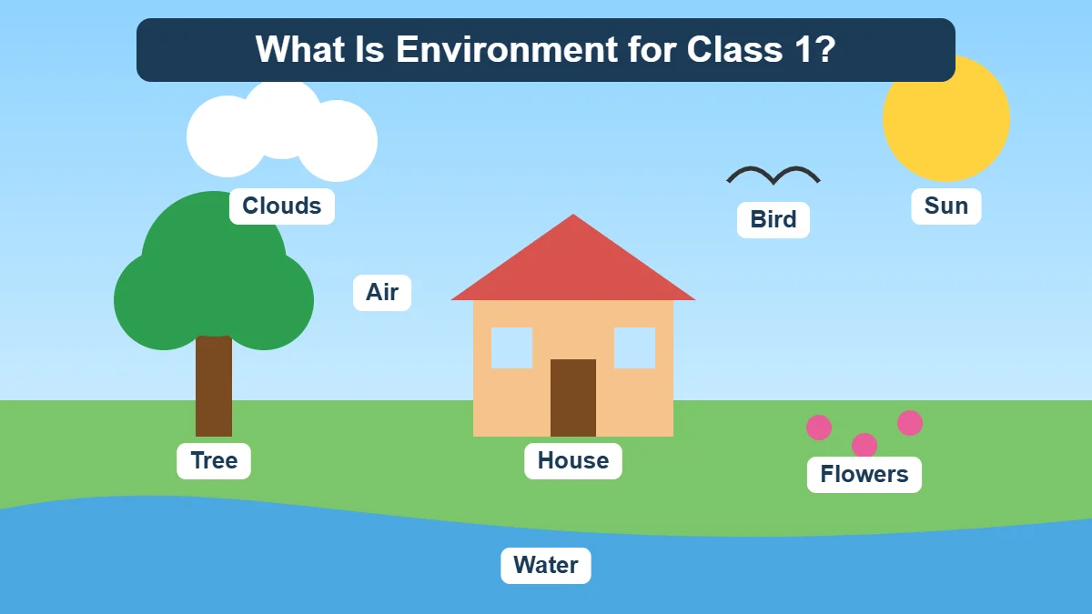 What is environment for Class 1 - labelled picture of things around us